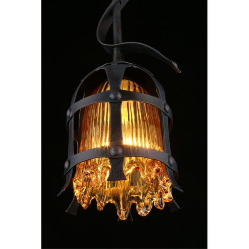 Светильник подвесной APL.500.06.01 фото 10