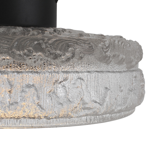 SL6143.402.01 Светильник потолочный ST-Luce черный/прозрачный LED 1*15W 4000K ANTIKE фото 2