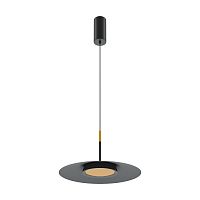 Подвесной светильник Maytoni MOD041PL-L15B3K1