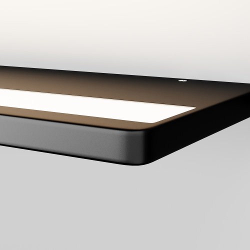 Подсветка Maytoni C033WL-L12B3K фото 7