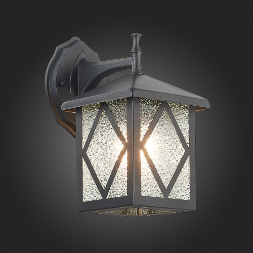 SL084.411.01 Светильник уличный настенный ST-Luce Черный/Черный, Прозрачный E27 1*60W LORNE фото 3