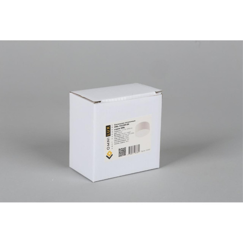 Светильник встраиваемый-накладной OML-103309-06 фото 6