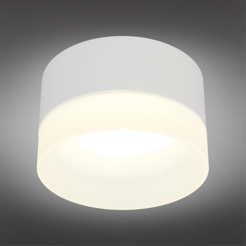 Светильник встраиваемый-накладной OML-103109-05 фото 6