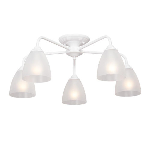 Потолочная люстра Vitaluce V3946-0/5PL Потолочная люстра Vitaluce V3946-0/5PL