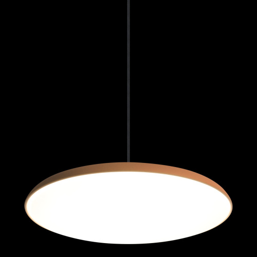 10119 Orange Подвесной светильник LOFT IT Plato фото 4