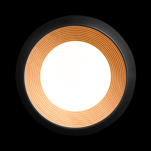 10255/350 Black Потолочный светильник LOFT IT Folk фото 5 10255/350 Black Потолочный светильник LOFT IT Folk фото 5