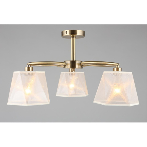 Люстра потолочная OML-65017-03 фото 5