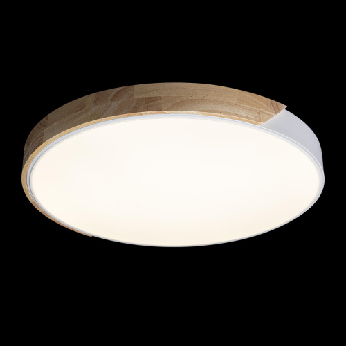 10004/36 White Потолочный светильник LOFT IT Axel фото 3