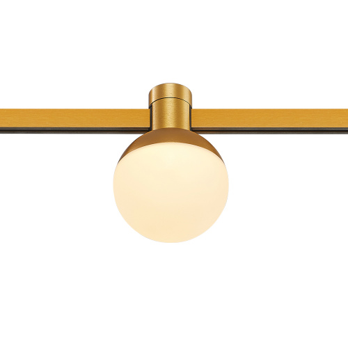 ST815.206.05 Магнитный трековый светильник FARM Золотистый LED 1*5W 3000K 89Lm Ra90 120 IP20 D75xH10 FARM фото 7