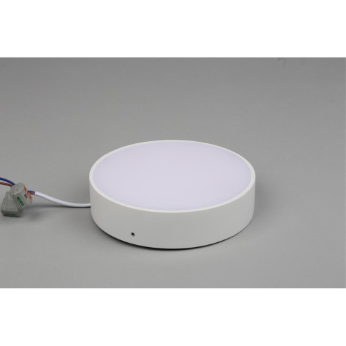 Светильник настенно-потолочный APL.0114.09.18 фото 6