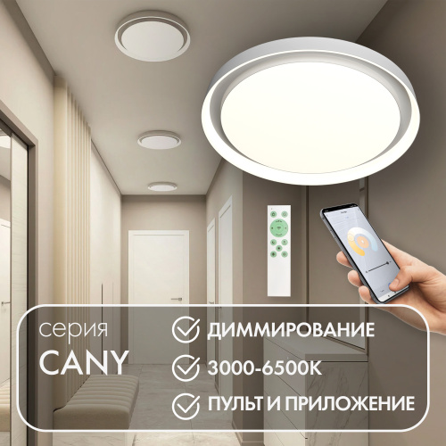 DK6516-WH Накладной светильник со встроенным светодиодом, 50W, IP 20, 3000K - 6500K, управление пульт Д/У (в комплекте) и Wi-Fi 2,4 Ггц. Эко система Smart Life, Яндекс.Алиса, белый, металл, полимер фото 3 DK6516-WH Накладной светильник со встроенным светодиодом, 50W, IP 20, 3000K - 6500K, управление пульт Д/У (в комплекте) и Wi-Fi 2,4 Ггц. Эко система Smart Life, Яндекс.Алиса, белый, металл, полимер фото 3