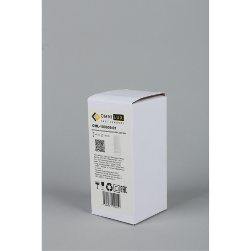 Светильник встраиваемый-накладной OML-100809-01 фото 2 Светильник встраиваемый-накладной OML-100809-01 фото 2