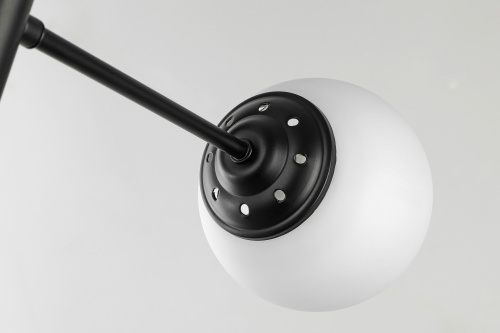 Подвесной светильник Lampit TP 2007-6 BK фото 4 Подвесной светильник Lampit TP 2007-6 BK фото 4