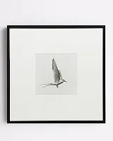 Квадратный постер "Flight"