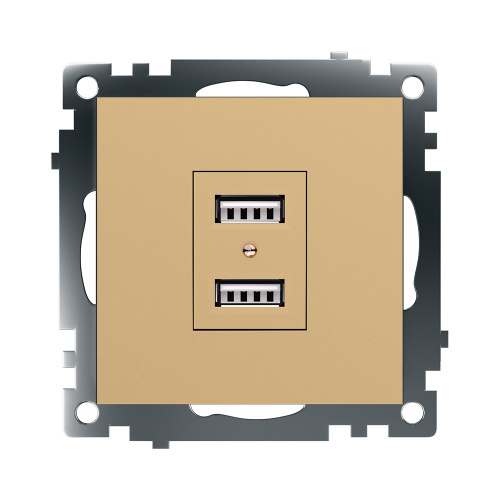 Розетка 2-местная USB (механизм), STEKKER, GLS10-7115-08, 250В, 2,1А, серия Катрин, золото фото 2