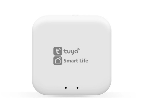 Wi-Fi конвертер управления светильниками для системы освещения Ambrella Light TRACK SYSTEM GL1920