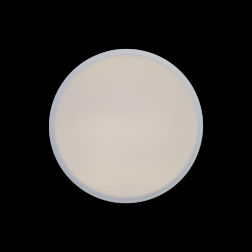 10002/12 White Потолочный светильник LOFT IT Axel фото 4