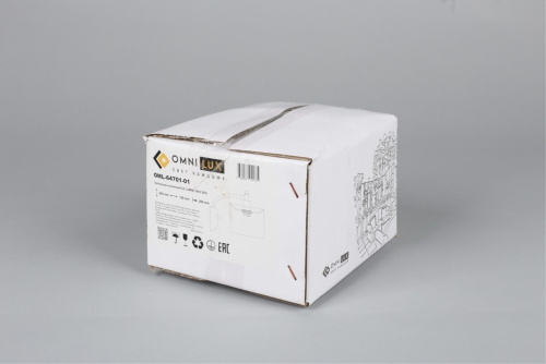 Светильник настенный (Бра) OML-64701-01 фото 5