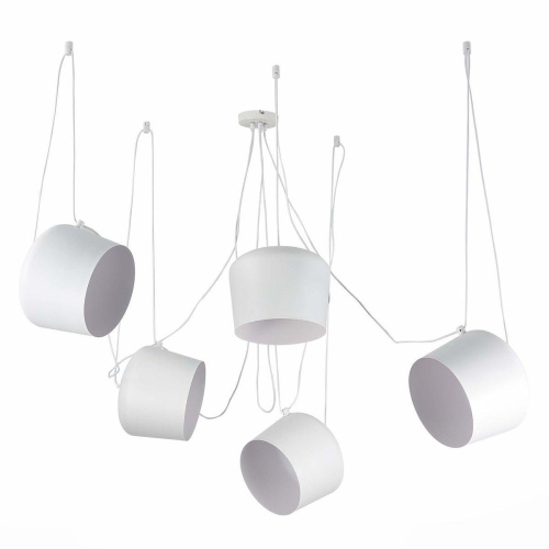 Подвесная люстра Evoluce Trieste SLE120653-05 Подвесная люстра Evoluce Trieste SLE120653-05