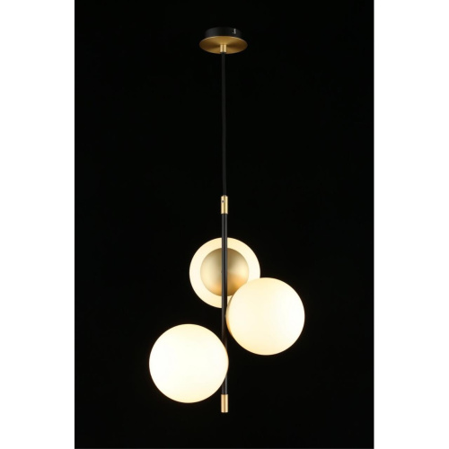 Светильник подвесной APL.313.06.03 фото 8 Светильник подвесной APL.313.06.03 фото 8