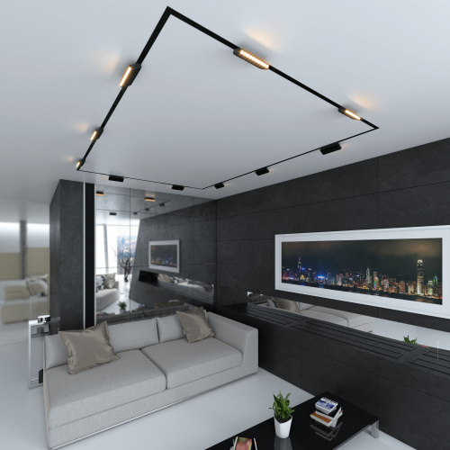 Slim Magnetic HL02 Трековый светильник 12W 3000K (черный) 85010/01 85010/01 фото 8