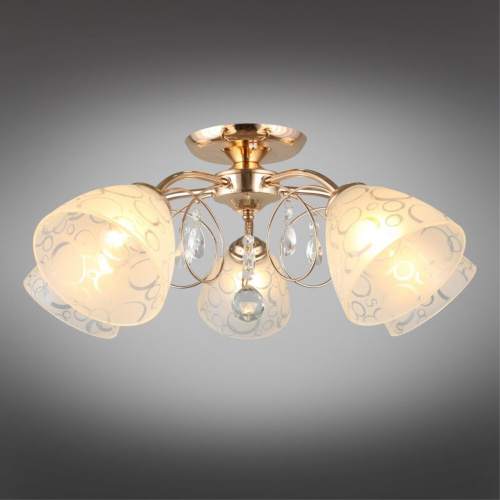 Люстра потолочная OML-29007-05 фото 3