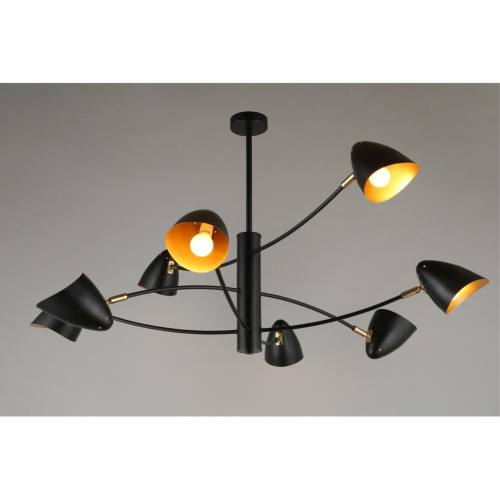 Люстра потолочная OML-29707-08 фото 6 Люстра потолочная OML-29707-08 фото 6