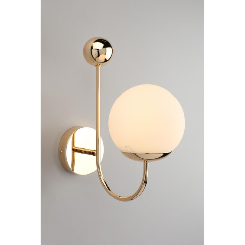 Светильник настенный (Бра) OML-67001-01 фото 7