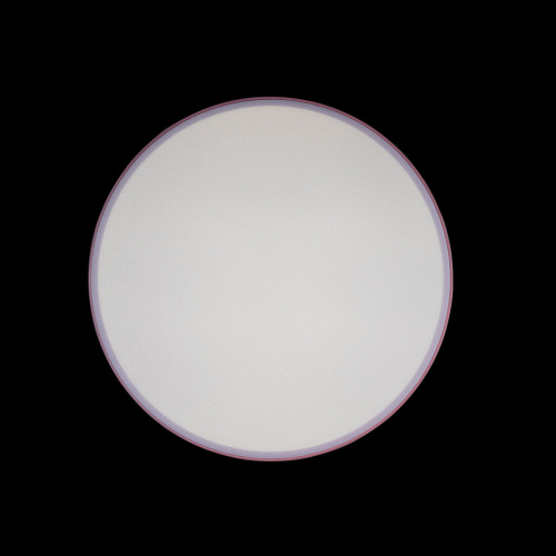 10002/24 Pink Потолочный светильник LOFT IT Axel фото 4 10002/24 Pink Потолочный светильник LOFT IT Axel фото 4