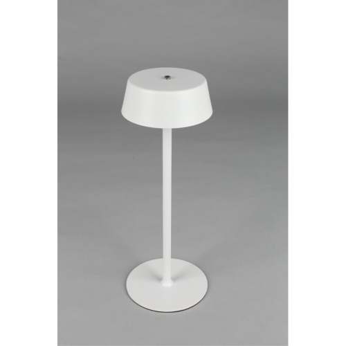 Настольная лампа OML-40514-01 фото 11