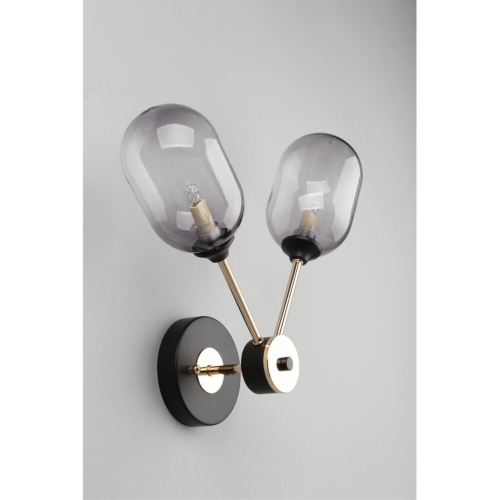 Светильник настенный (Бра) OML-94801-02 фото 6 Светильник настенный (Бра) OML-94801-02 фото 6