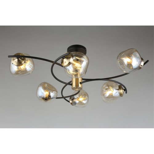 Люстра потолочная OML-95307-06 фото 5