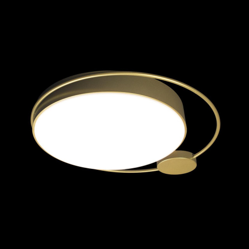 10063 Потолочный светильник LOFT IT Mike фото 5