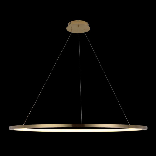 10014XXL Подвесной светильник LOFT IT Ring фото 3