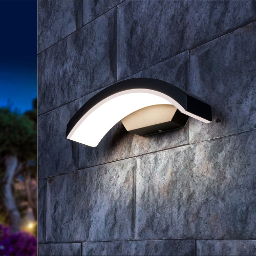 Пылевлагозащи<wbr>щенный настенный светодиодный светильник Asteria D IP54 1671 Techno LED черный фото 2