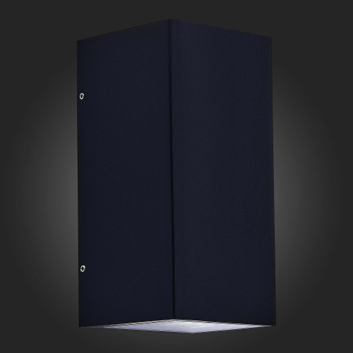 SL9002.411.01 Светильник уличный настенный ST-Luce Черный GU10 2*35W CIPRIA фото 4