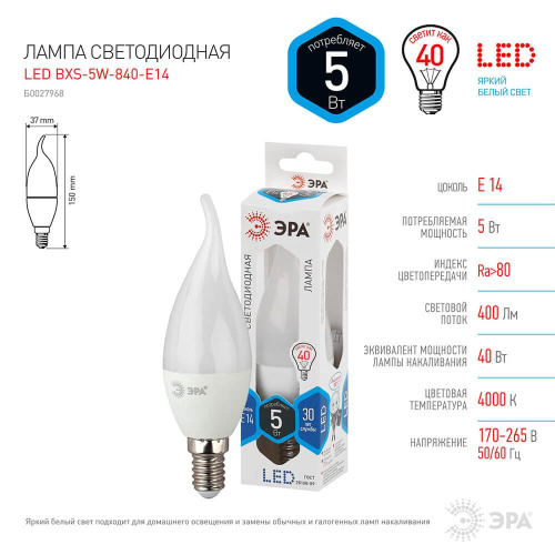 Лампа светодиодная ЭРА E14 5W 4000K матовая LED BXS-5W-840-E14 Б0027968 фото 2