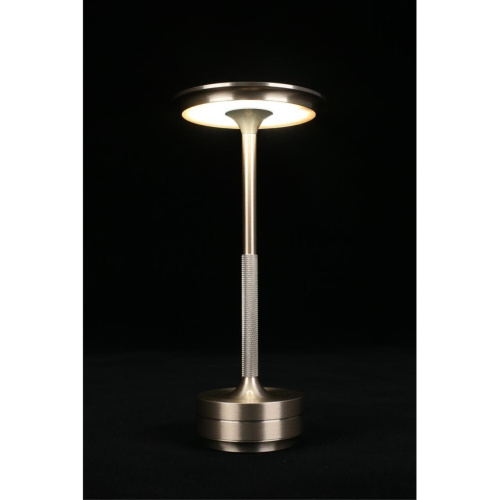 Настольная лампа APL.064.14.05 фото 9