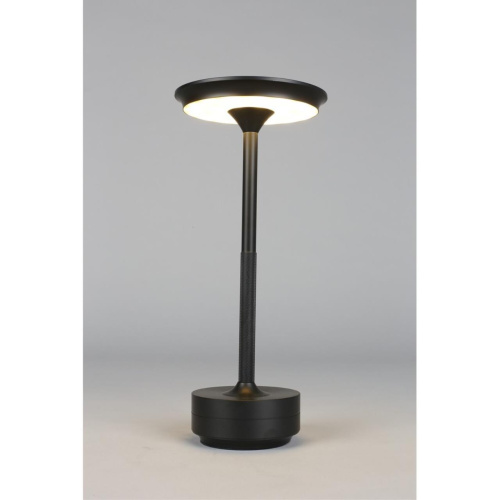 Настольная лампа APL.064.24.05 фото 2 Настольная лампа APL.064.24.05 фото 2