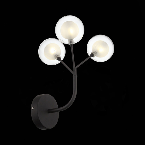 SL376.401.03 Бра ST-Luce Черный/Прозрачный, Белый G4 LED 3*2W - DEMELE фото 5