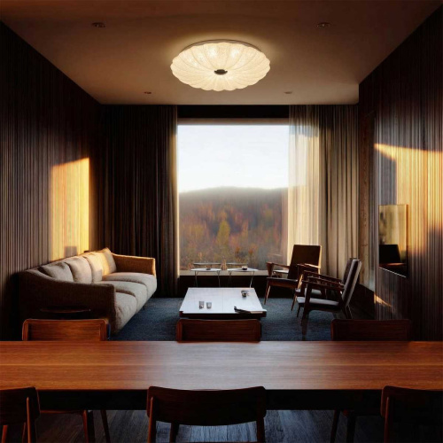 Потолочный светильник Lightstar Arco Shell 225640 фото 2