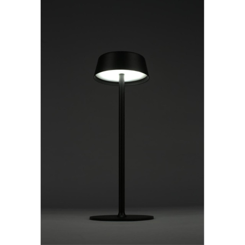 Настольная лампа OML-40504-01 фото 9 Настольная лампа OML-40504-01 фото 9