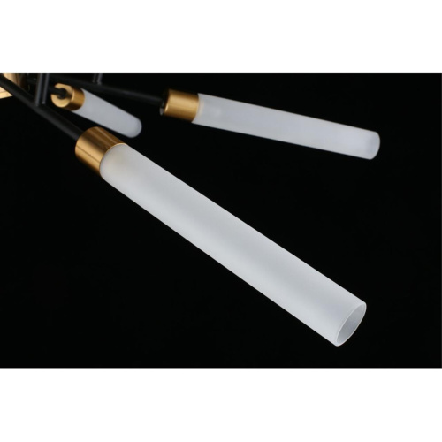 Люстра потолочная APL.604.07.12 фото 14