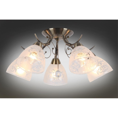 Люстра потолочная OML-53807-05 фото 3