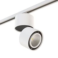 Комплект с трековым светильником Lightstar Forte Muro (592060+213816) A1T213816