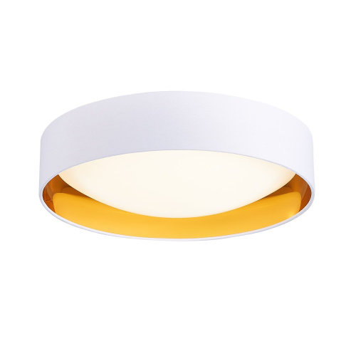 SLE201122-01 Светильник потолочный Белый, Золотистый/Белый LED 1*24W 4000K ORBIO фото 6
