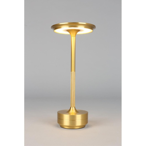 Настольная лампа APL.064.04.05 фото 4