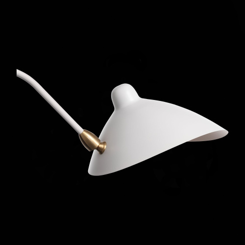 SL305.501.02 Светильник настенный ST-Luce Белый/Белый E27 2*60W SPRUZZO фото 11