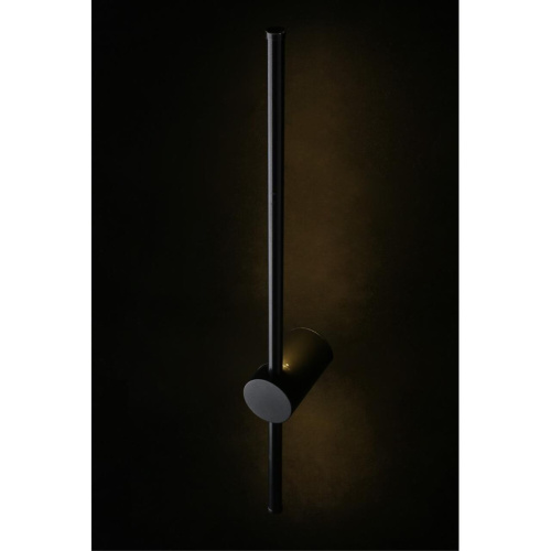 Светильник настенный (Бра) APL.0123.01.07 фото 10