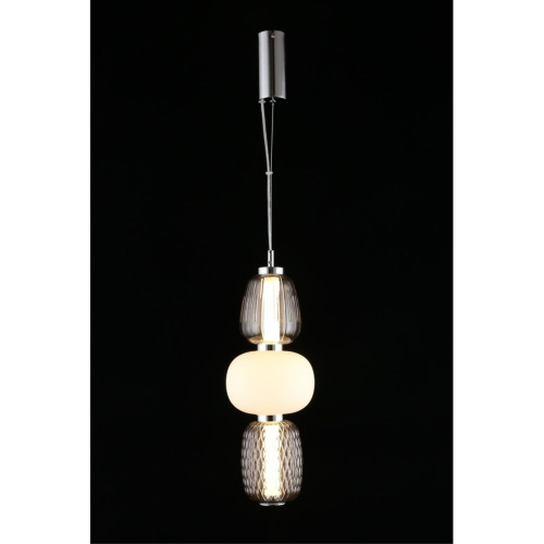 Светильник подвесной APL.319.06.29 фото 12